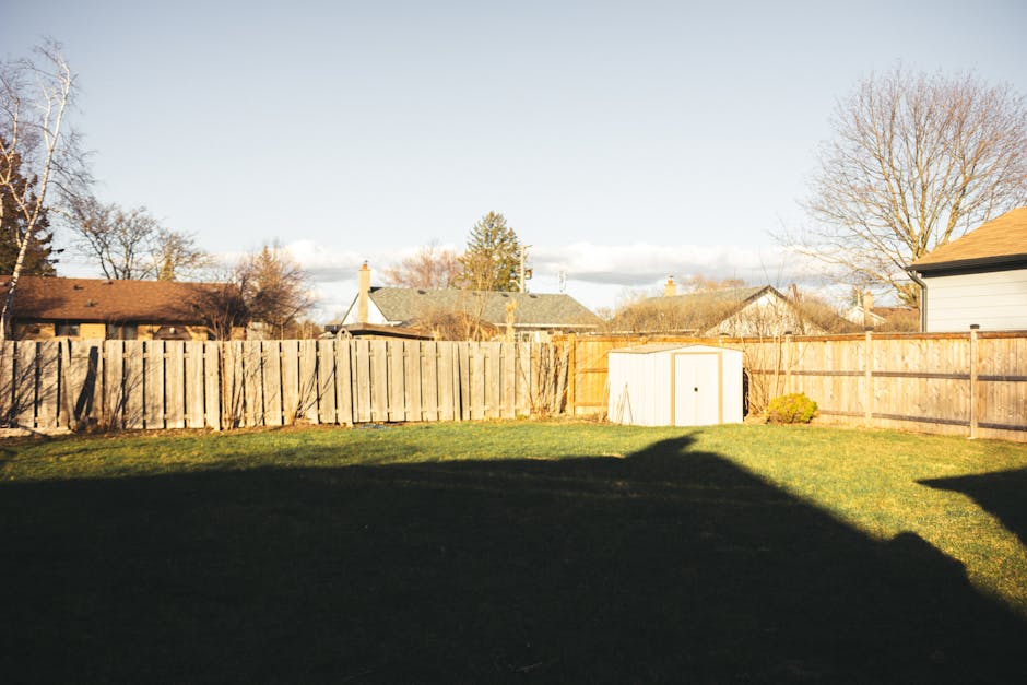 Residential backyard with wooden fence, shed, lawns, and tree shadows on a sunny day.