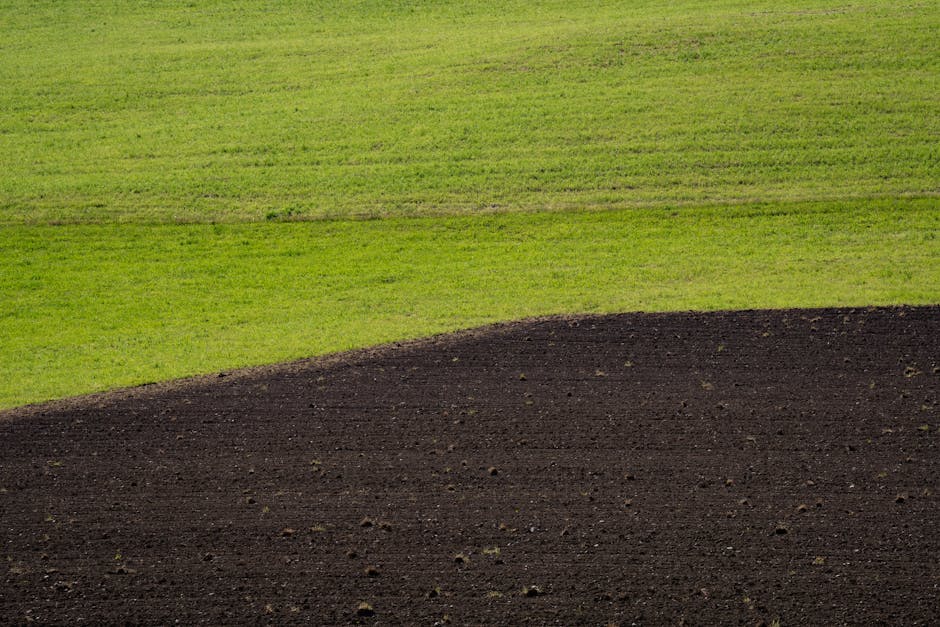 Serene landscape featuring vibrant green fields next to freshly plowed dark earth.