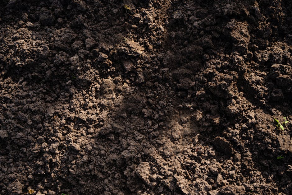 Detailed view of freshly tilled soil, perfect for planting in agriculture and gardening.