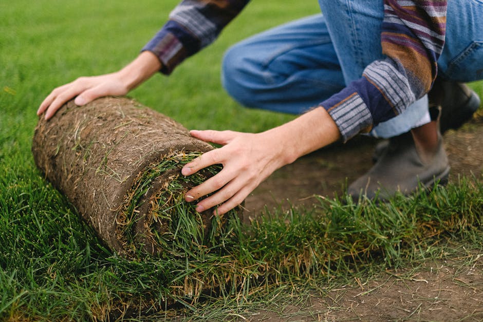 Side view of unrecognizable male farmer laying grass turf roll on ground while working on agricultural plantation on blurred background
